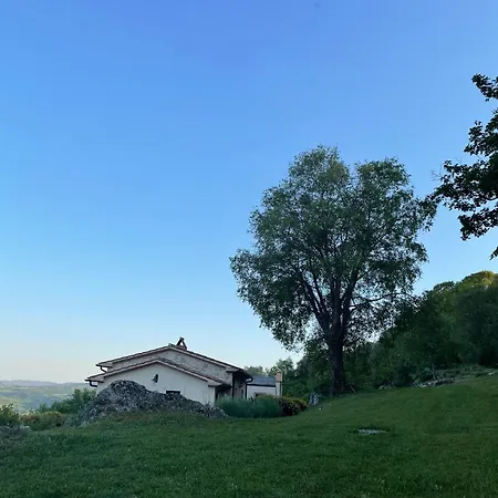 Il Nido Del Falco Nelle Antiche Mura *