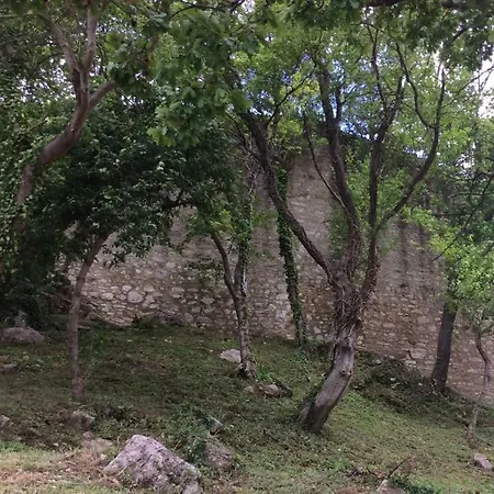 Il Nido Del Falco Nelle Antiche Mura