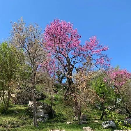 Dom wakacyjny Il Nido Del Falco Nelle Antiche Mura