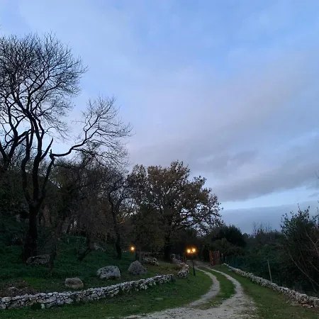 Il Nido Del Falco Nelle Antiche Mura