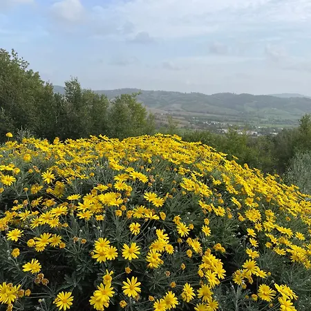 Casa vacanze Il Casale Delle Mura